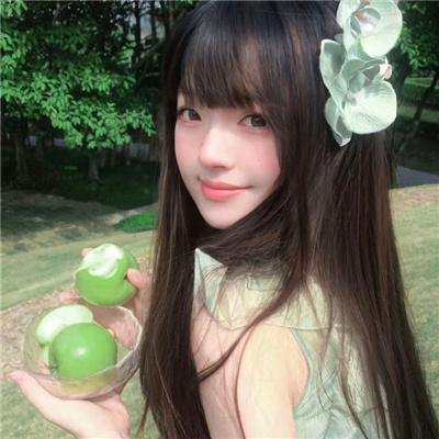 福斯特医生第一季