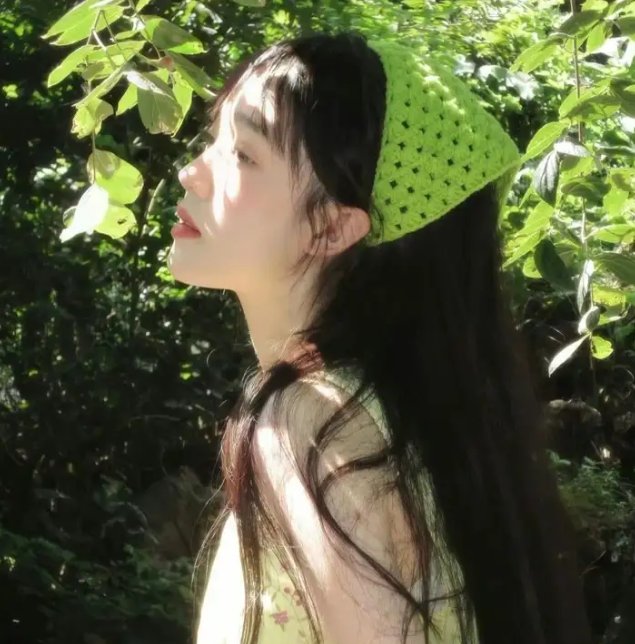 蟾蜍之路